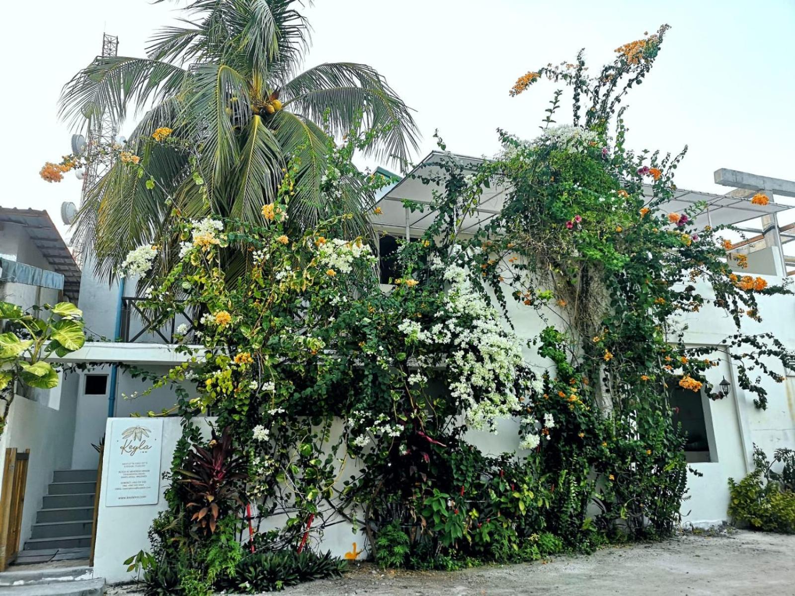 Keyla Inn Thulusdhoo Εξωτερικό φωτογραφία